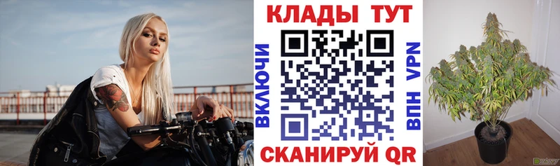 Наркошоп купить APVP Меф мяу мяу Кокаин ГАШИШ МАРИХУАНА Тайга