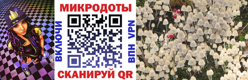 Псилоцибиновые грибы Cubensis  Купить закладки  Тайга 